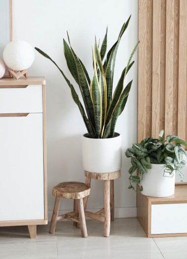 Registrati Confialquila